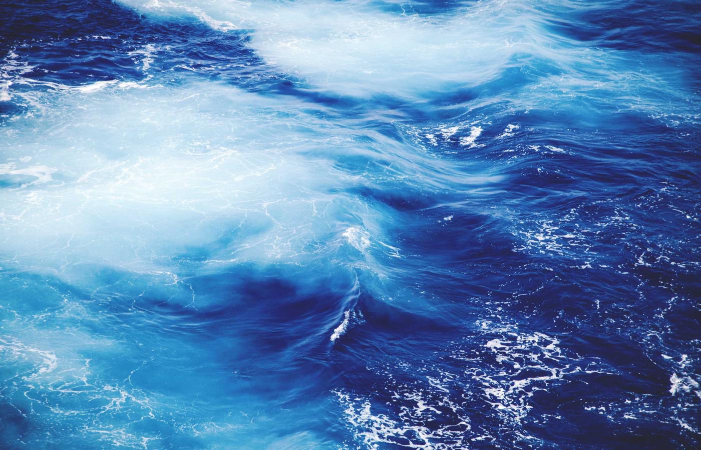 Portret van Eva de Jong