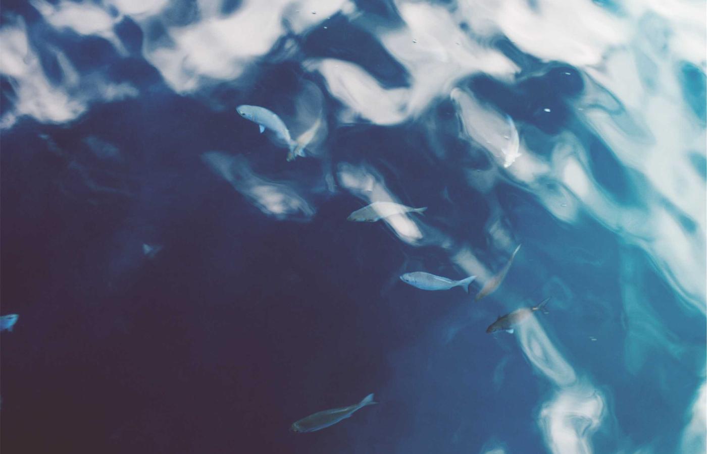 Wereldwijde economische trends