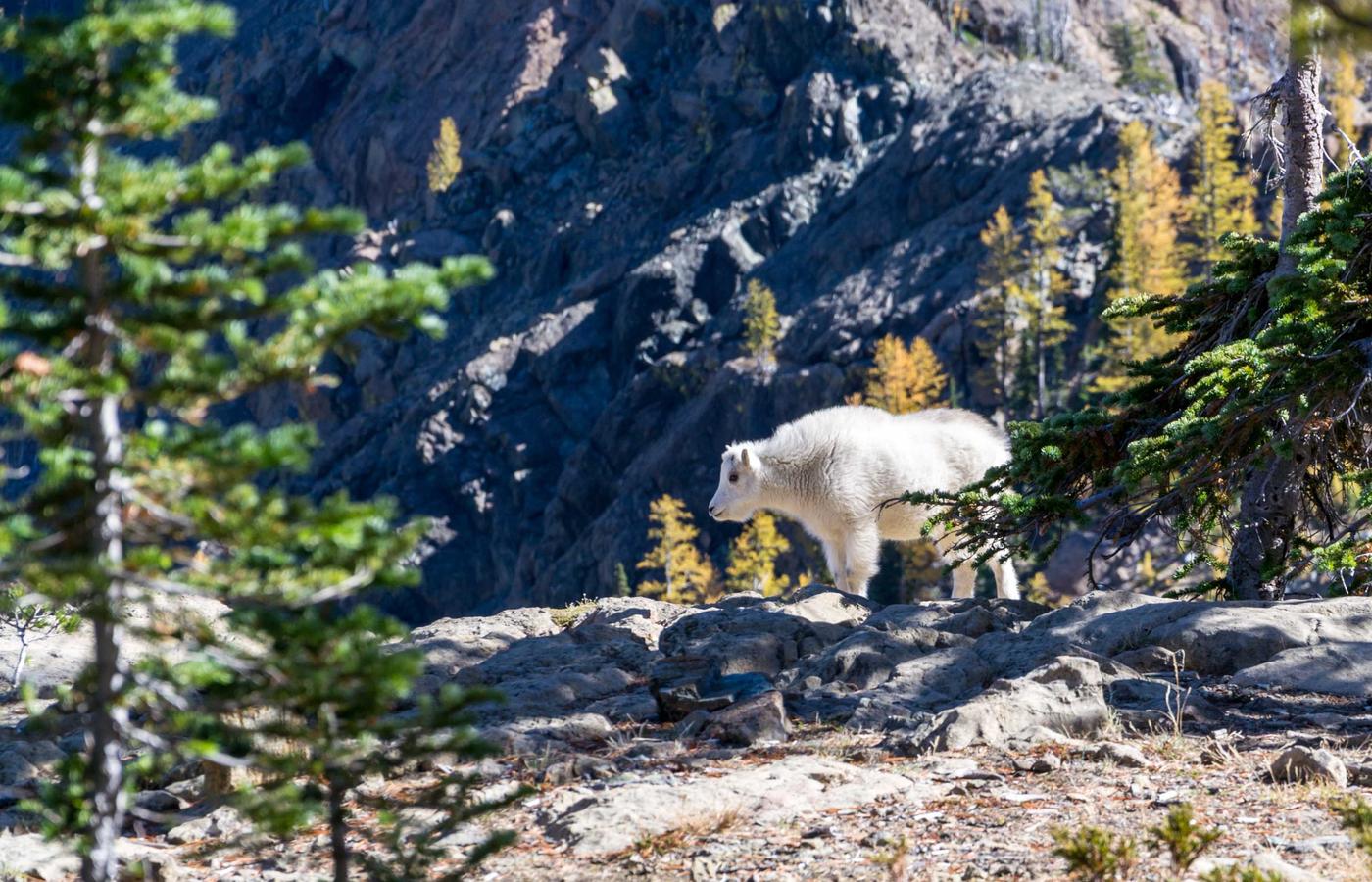 Persoon in een rustige omgeving