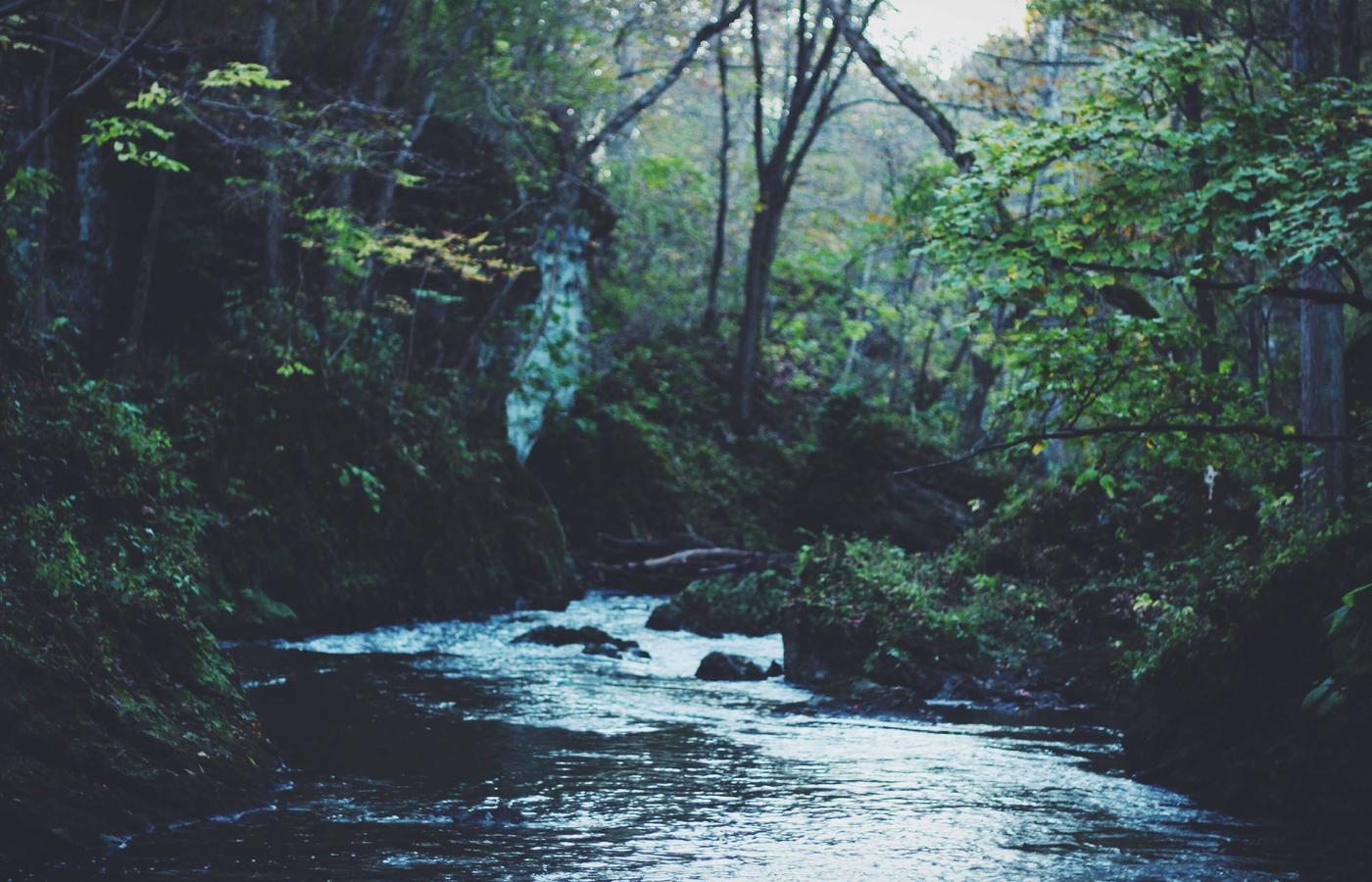 Team dat samenwerkt aan leiderschap