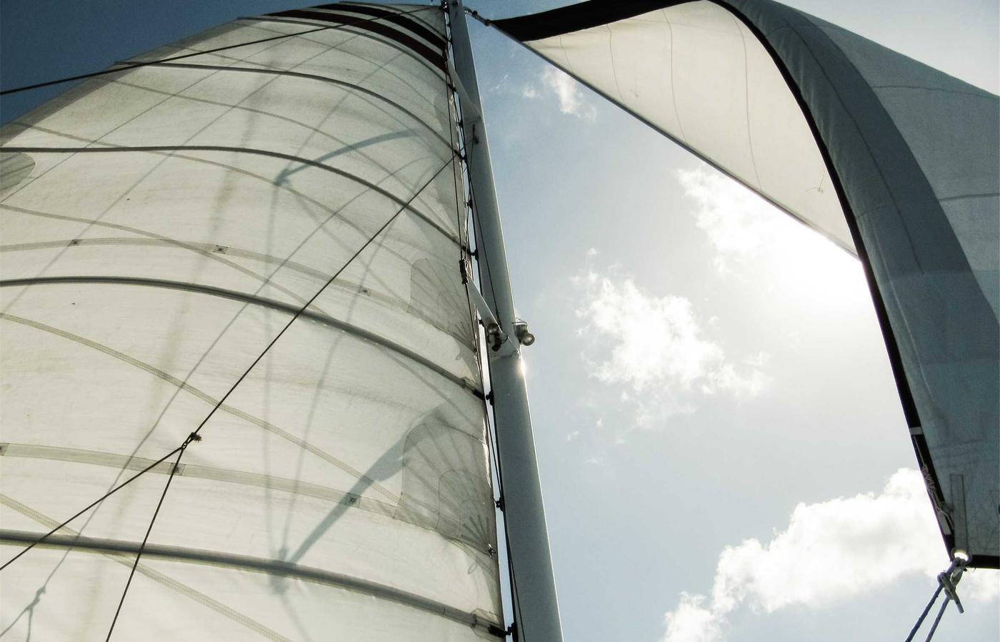 Portret van Daan van der Berg