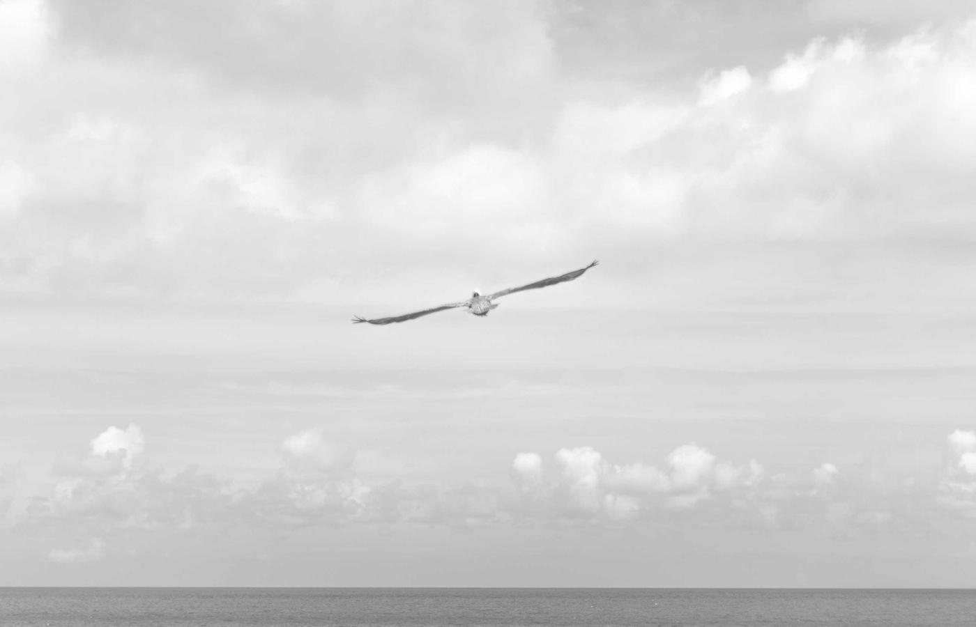 Portret van een klant